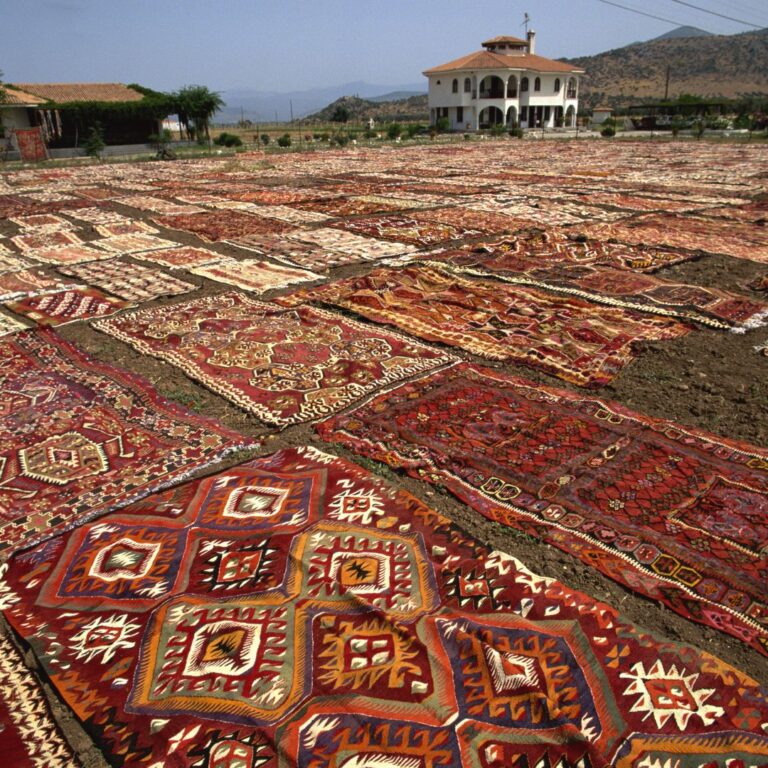 Read more about the article How To Wash Your Persian Rug At Home