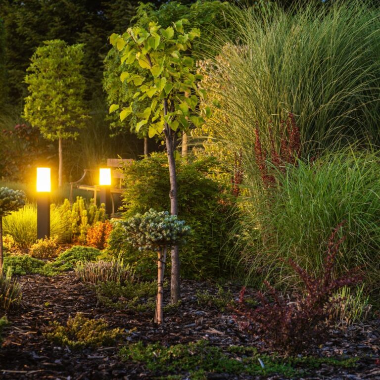 Read more about the article How To Design Your Landscape Lighting