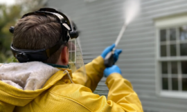 Pressure Cleaning & Mould Removal on the Central Coast – The Essential Guide